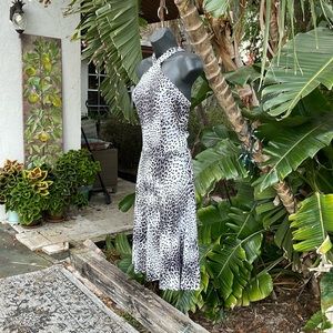 Bebe leopard print halter look drop waist dress